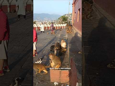 الجميع مشغولون بأعمالهم السفر موسيقى  مضحك يوتيوب  صداقة