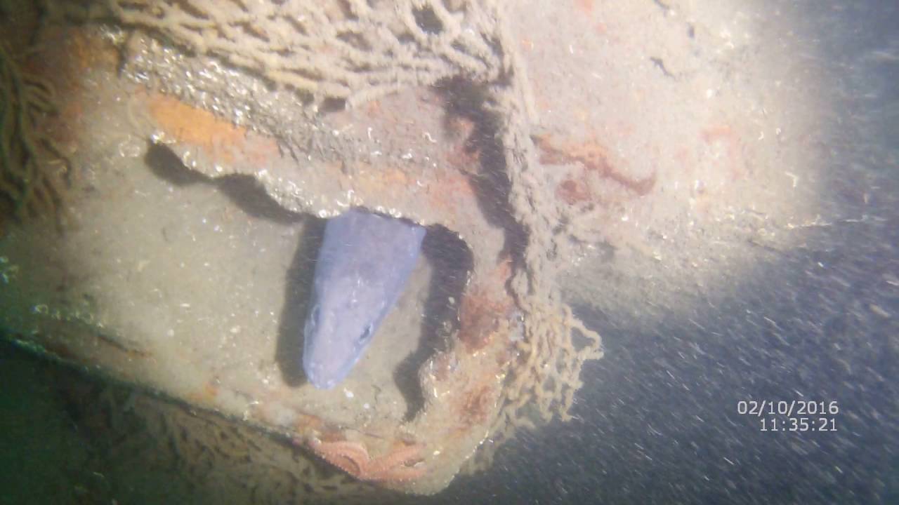 Frederic Morel YouTube