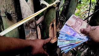 bambu ini dapat mengeluarkan uang gaib