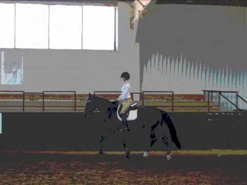 Lisa Moores Photo 24