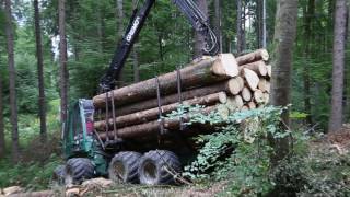 Gremo 950 F Im Käferholzeinsatz 07-2017