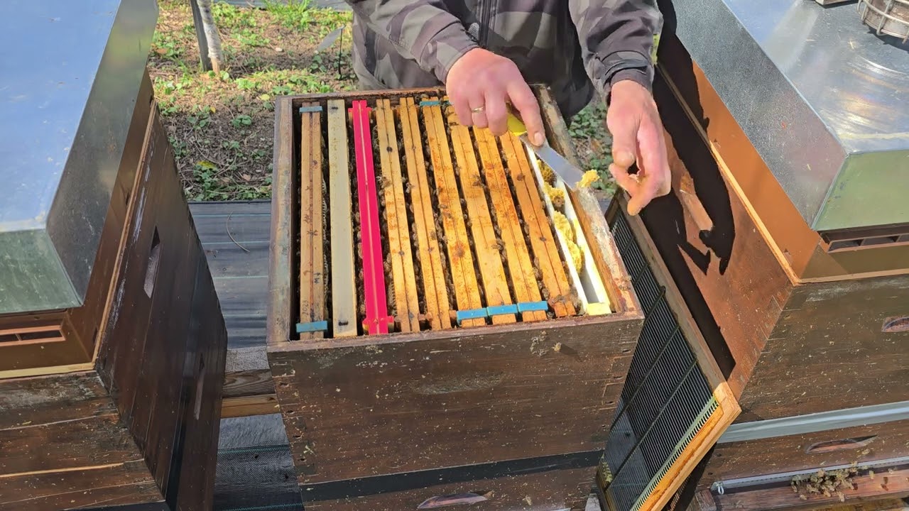 Kontrola medista i plodista