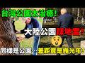 慎入！去公園要先躲「黃金地雷」？ 😱 台灣小孩草地打滾，大陸竟變露天廁所？看完公園差距，大陸網友看傻眼：這怎麼比？ 😳