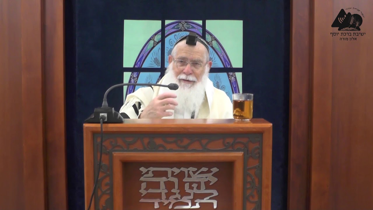 צבע התפילין | הרב אליקים לבנון | הלכות תפילין | 33