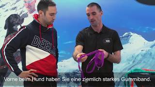 I-DOG | Wahl der richtigen Hundeleine | Hundesport, Canicross | X-WILD