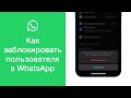 Как заблокировать человека в WhatsApp (добавить в чёрный список)