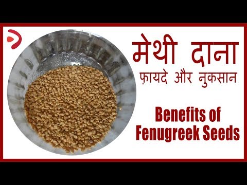 मेथी दाना के फ़ायदे और नुकसान | Fenugreek Seeds Benefits