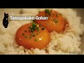 Petit djeuner typiquement japonais loeuf sur le riz  tamago kake gohan