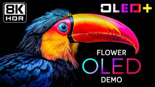 BEST OLED DEMO - Ethereal Beautiful Earth in 8K HDR | Dolby Vision™