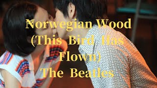 Norwegian Wood -The Beatles (ノルウェーの森)【ギター弾き語り】