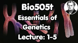 Information BIO505T Essentials of Genetics Updated Course | Short Lectures 1-5 | Complete Preparation Update