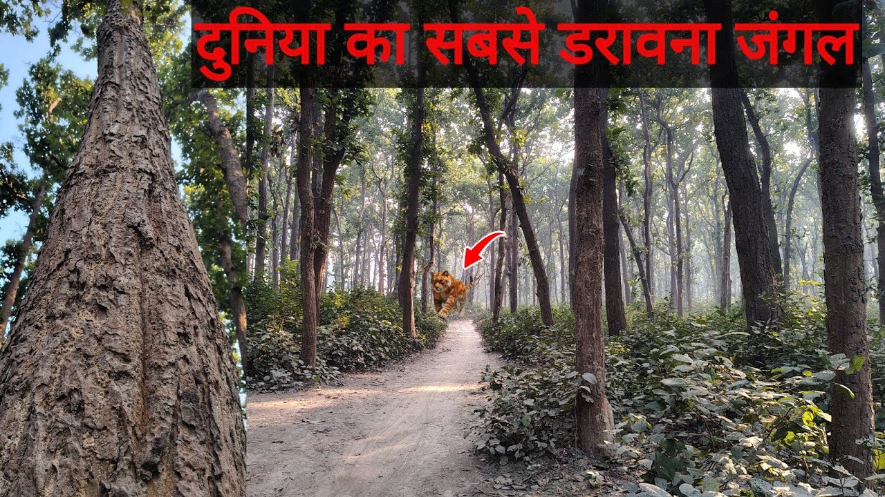 दुनिया का सबसे डरावना जंगल || Nankan Y Tech Full Vlogs