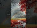 ✨ Soothing Quran Recitation | Heart Touching Tilawat 🌿📖#quran #islamicrecitation #islam #muslim