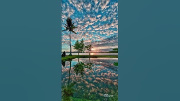 هو يحيي ويميت وإليه ترجعون(تلاوة من سورة يونس)🌹قرآن كريم 🌹القارئ عبد الرحمن مسعد