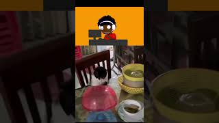 เกงมากเจาแมว