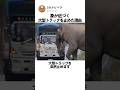 象が近づく大型トラックを止めた理由