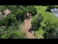 Selective Mulching in Decatur, TX