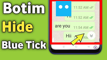 How to hide Botim Green ticks | Botim Green tick kaise disable kare
