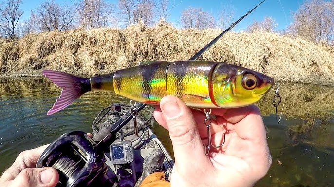 Explosive Action With The Whopper Plopper! 