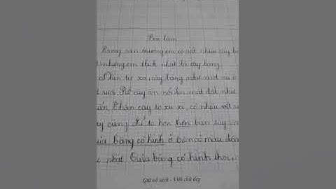 Tả về cây bàng văn lớp 4 hay nhất.