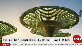 Korean Scientists Build Solar Trees to Save Forests