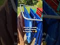 How to Wash Sarees in Germany 🇩🇪