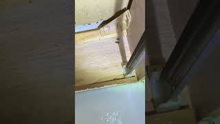 Before and After Cockroach Treatment