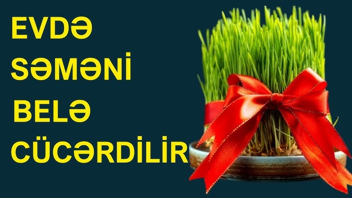 Мас балапанмен жыныстық қатынас Менің писькамда үлкен дилдо бар.