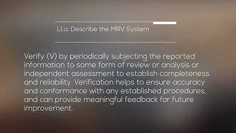 MRV 1.1.a: Describe the MRV System