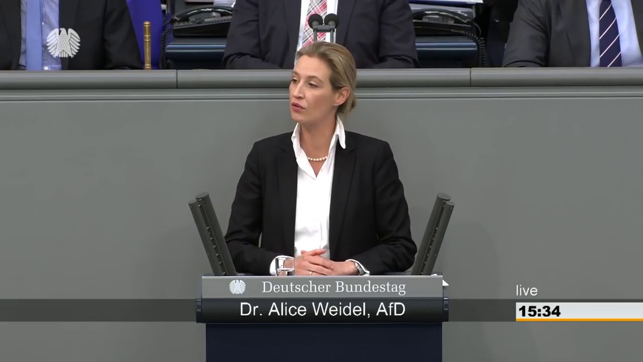 алиса вайдель альтернатива для германии. алиса вайдель выступление в бундестаге. алиса вайдель в бундестаге. скандал в бундестаге. Alice weidel выступление.