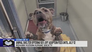 Animal Shelter offering 50% off adoption fees