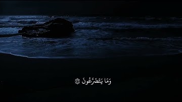 فما أستكانوا لربهم وما يتضرعون القارئ عبد الرحمن مسعد