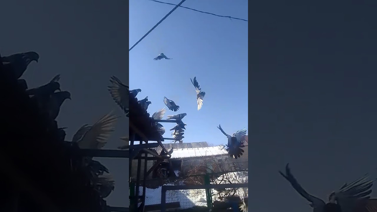 28 февраля 2026 г.