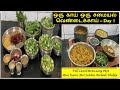 Lunch recipes using okra  ladies finger  vendakkai recipes  sadham kootu sambar thokku pachadi