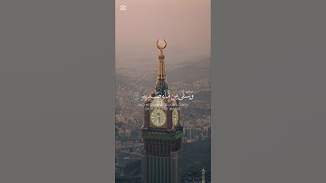 سورة إبراهيم {الآية 17} بصوت الشيخ عاصم العلاقمي ❤️❤️