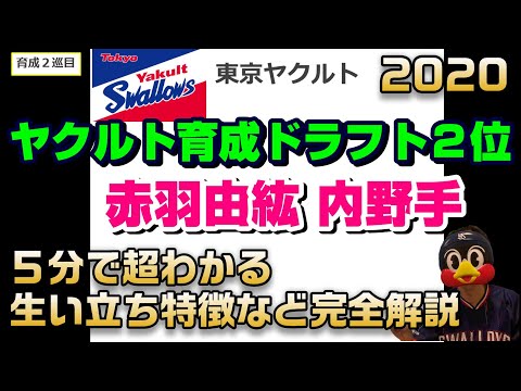 【ヤクルト】育成ドラフト2位 赤羽由紘の特徴解説(これを見れば知らないと言わせない)