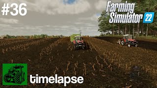 Zetka v oračce | Epizoda 36 | Soukromníci | Timelapse | FS22