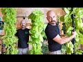 Modular 3d printed vertical hydroponic system