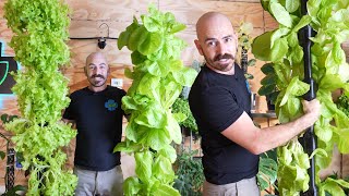 Modular 3D Printed Vertical Hydroponic System