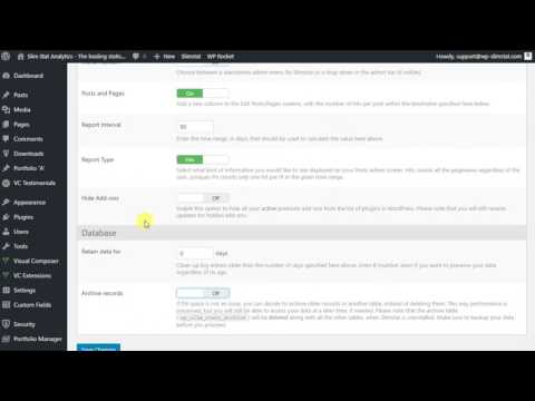 Slimstat Analytics: Settings and Customizer