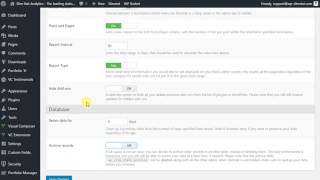 Slimstat Analytics: Settings and Customizer