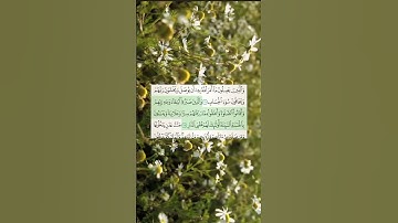 سورة الرعد (الآيتان 21 و 22)