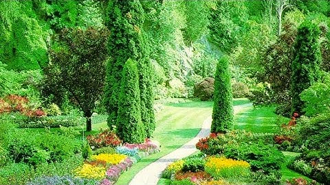 شيخ أبوبكر الشاطري سورة طه أجمل صوت