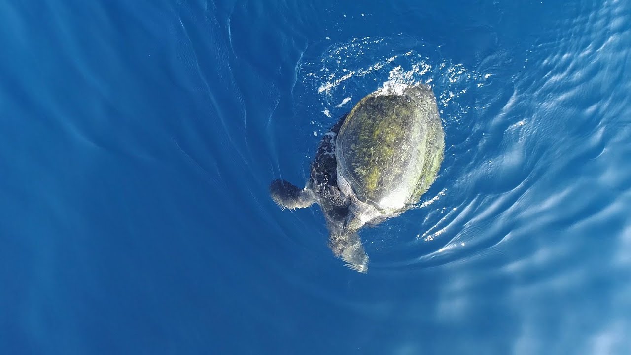 ドローンによる盗撮 I found a bold act outdoors, so I took a voyeur