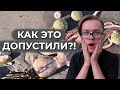 ЭКОЛОГИЧЕСКАЯ КАТАСТРОФА НА КАМЧАТКЕ: ЧТО СТАЛО ПРИЧИНОЙ? | РЕПОРТАЖ ФЁДОРА АЛЕКСЕЕВА