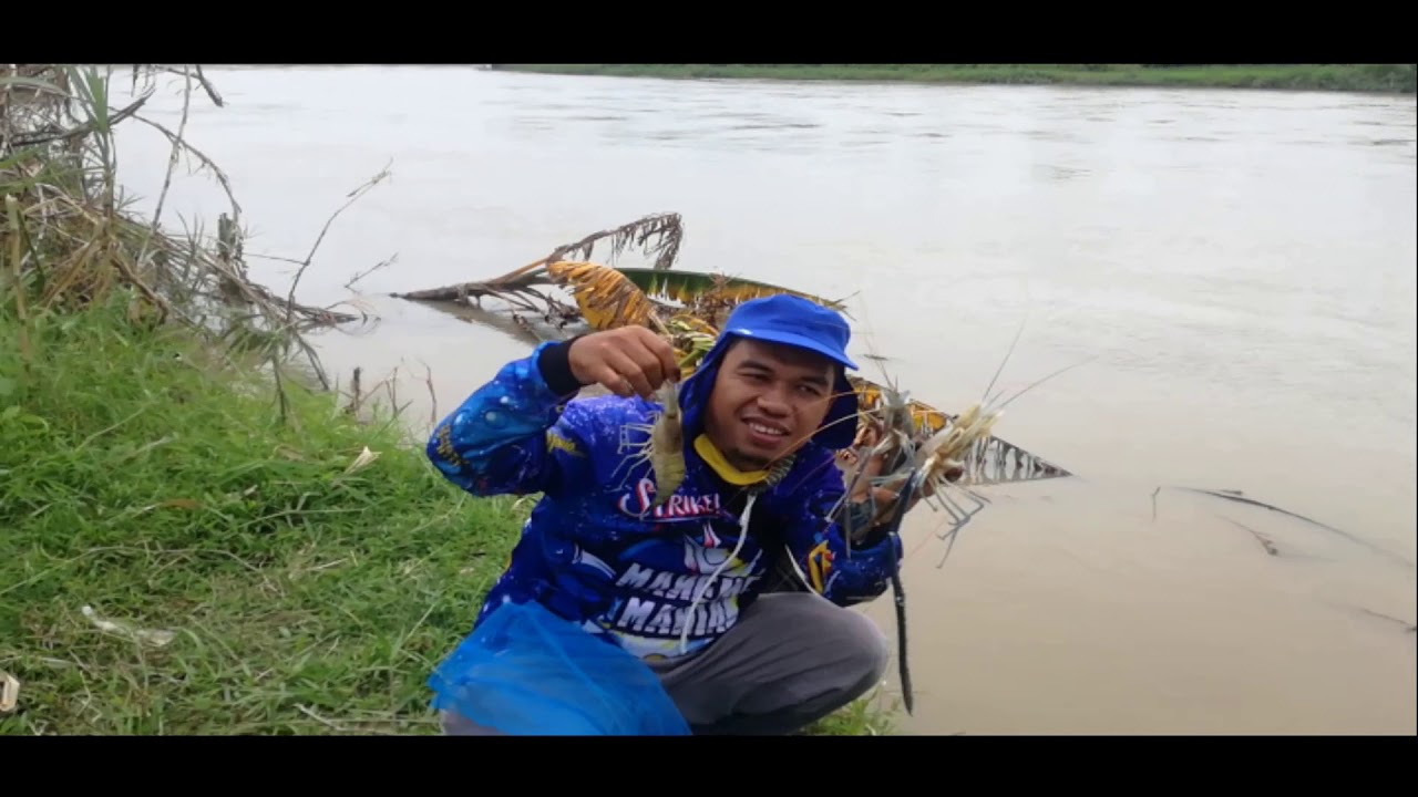 LOKASI MEMANCING UDANG GALA MUARA SUNGAI ULAR PANTAI LABU