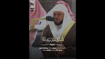 ﴿يخرُجُ مِن بُطونِها شرابٌ مُختَلفٌ ألوانُهُ فيه شِفاءٌ للنّاس﴾ من سورة النحل للشيخ ماهر المعيقلي🤍.