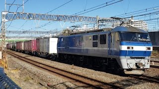 3071レ EF210-122+コキ20両 戸塚付近通過(約9時間45分遅れ)