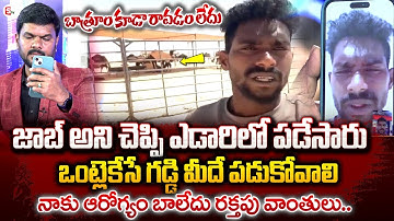 AP Person Stuck in Saudi Arabian Desert | SumanTV Video Call with Veerendra from Saudi Arabia