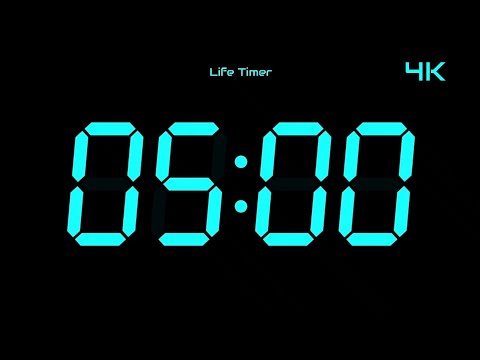 5 Minutes Countdown Timer ⏰ | Big Digital Clock | 4K Timer